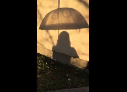 Parapluie mutant 