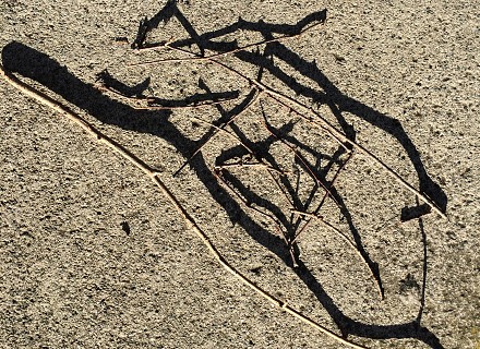 Au couché du soleil