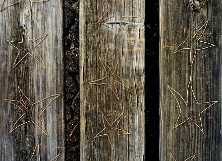 magie des brindilles