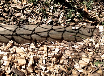 Ecailles de grillage