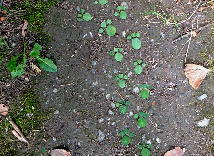 Qui est passé par là?